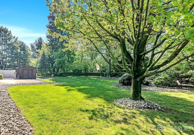 3996 Park Ave, Edison, NJ 08820 - view of grassy yard