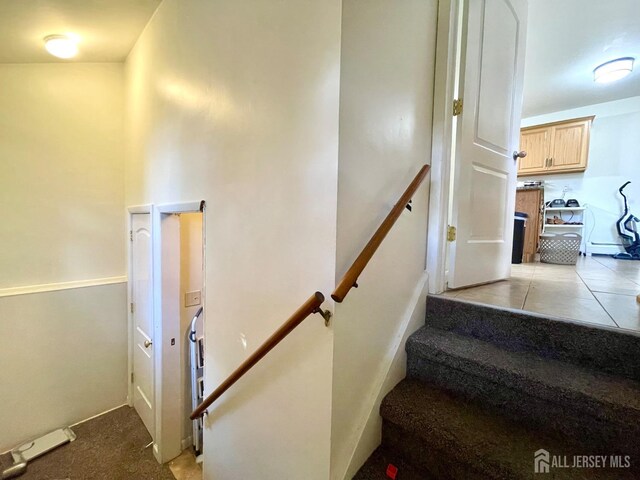 staircase featuring carpet flooring