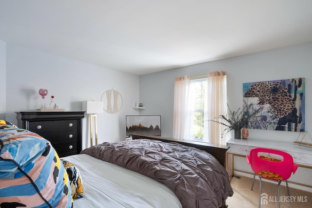 22 Fairway Blvd, Monroe, NJ 08831 - bedroom featuring carpet