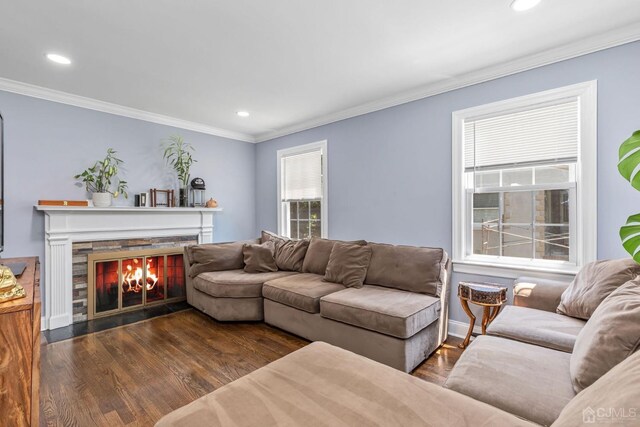 261 New Market Rd, Dunellen, NJ 08812 - living room featuring wood finished floors, a stone fireplace, recessed lighting, and ornamental molding