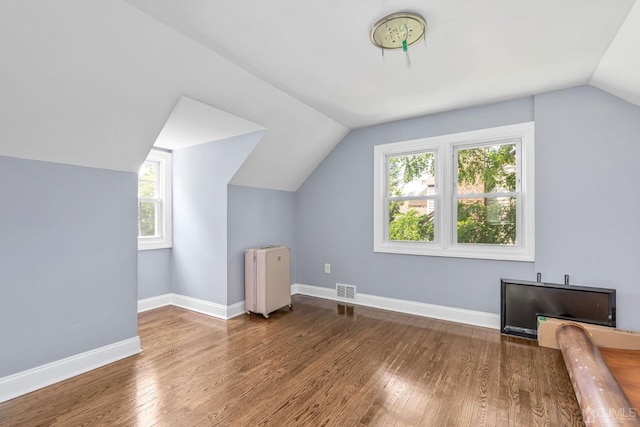 261 New Market Rd, Dunellen, NJ 08812 - additional living space featuring radiator heating unit, lofted ceiling, and wood finished floors