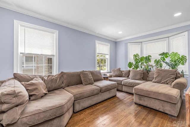 261 New Market Rd, Dunellen, NJ 08812 - living area featuring wood finished floors, ornamental molding, and recessed lighting