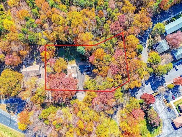 815 Marlboro Rd, Old Bridge, NJ 08857 - aerial view of property's location featuring property parcel outlined