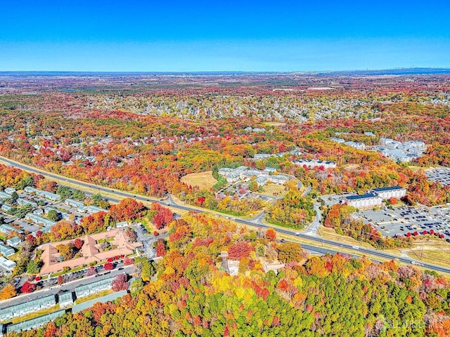 815 Marlboro Rd, Old Bridge, NJ 08857 - drone / aerial view