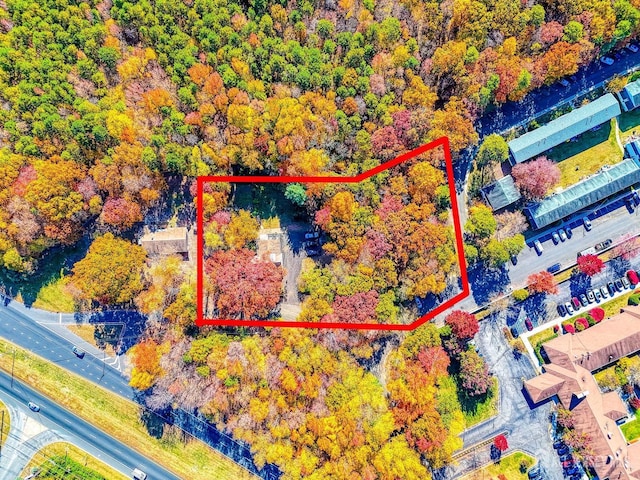 815 Marlboro Rd, Old Bridge, NJ 08857 - aerial view of property and surrounding area featuring property boundaries highlighted