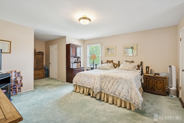 bedroom featuring carpet