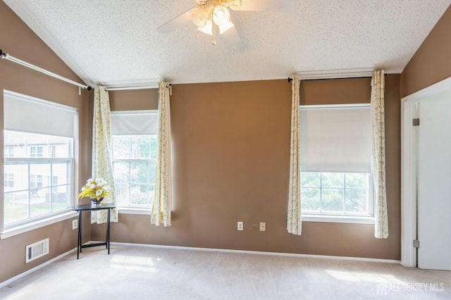 393 Draco Rd, Piscataway, NJ 08854 - photo 10