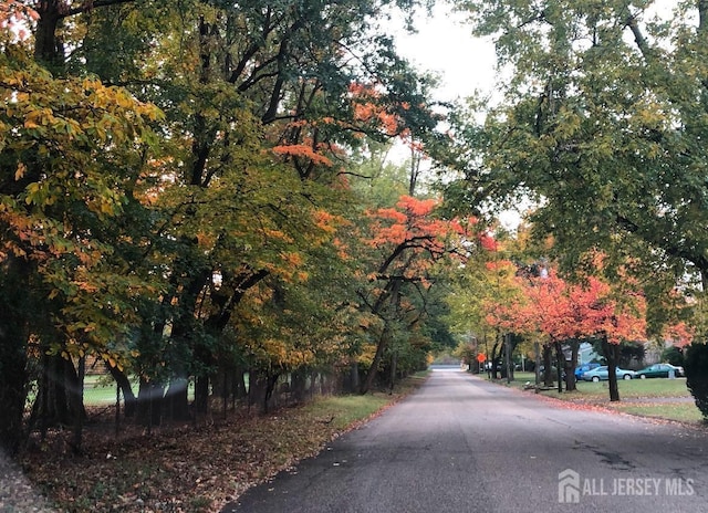 108 Colonia Rd, Colonia, NJ 07067 - view of road