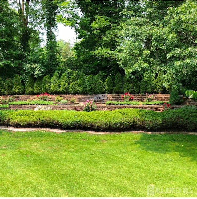 108 Colonia Rd, Colonia, NJ 07067 - view of yard