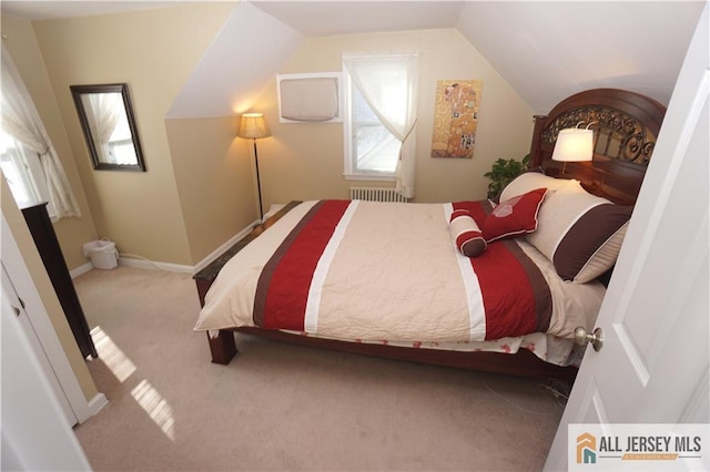 25 Clover Ave, Colonia, NJ 07067 - bedroom with radiator, carpet, and lofted ceiling