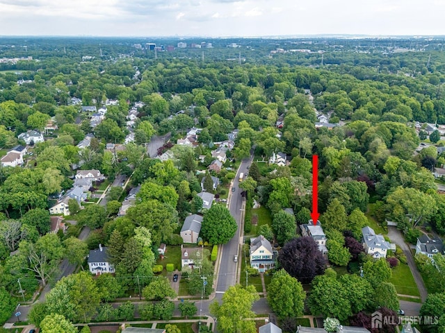 44 Rector St, Metuchen, NJ 08840 - bird's eye view