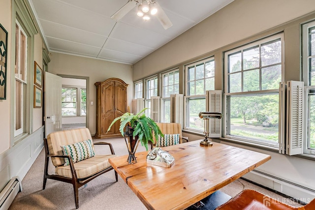 44 Rector St, Metuchen, NJ 08840 - sunroom with a baseboard radiator, plenty of natural light, and carpet floors