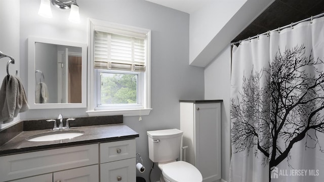 41 Ross Hall Blvd N, Piscataway, NJ 08854 - full bath featuring vanity, toilet, and a shower with curtain