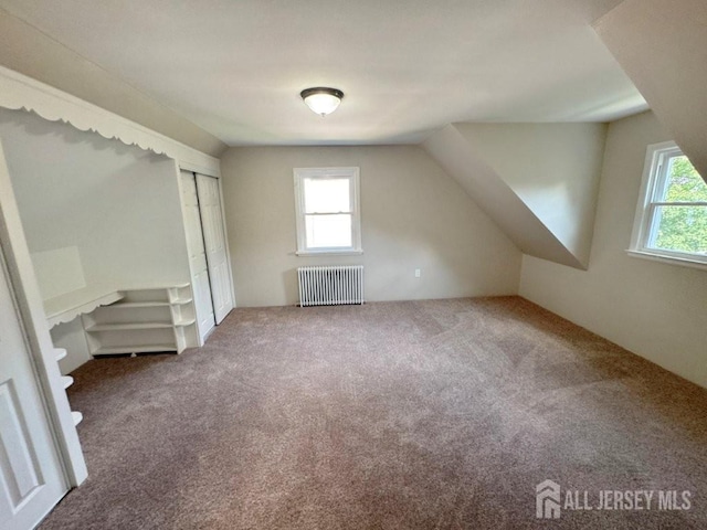 1154 Foster Ave, South Plainfield, NJ 07080 - bonus room with radiator, carpet floors, and lofted ceiling