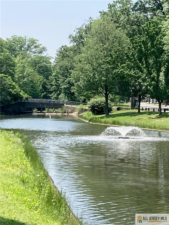 323 Green St, Woodbridge Proper, NJ 07095 - water view