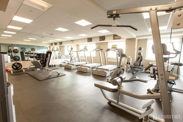 workout area featuring plenty of natural light and a paneled ceiling