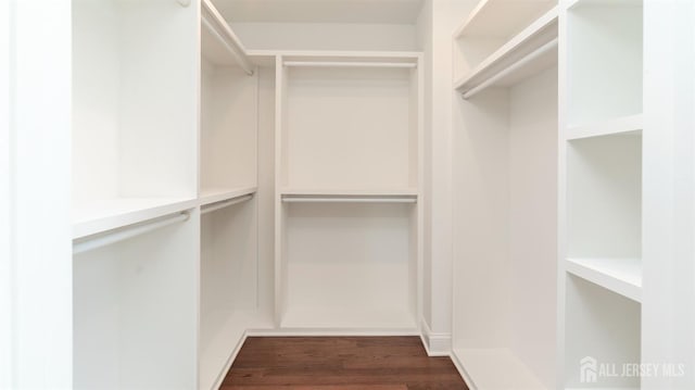 walk in closet with dark wood finished floors