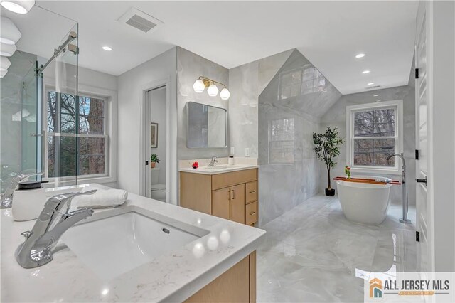 bathroom featuring vanity, toilet, and a washtub