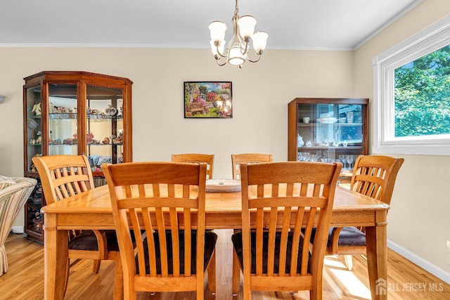51 Bradford Rd, East Brunswick, NJ 08816 - photo 9