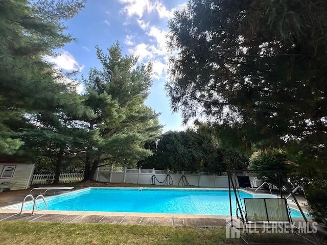 view of pool with a diving board