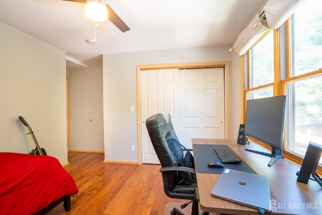 home office with ceiling fan and light hardwood / wood-style floors