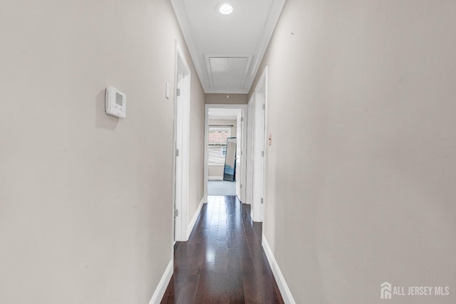 251 W Shirley Ave W, Edison, NJ 08820 - photo 23