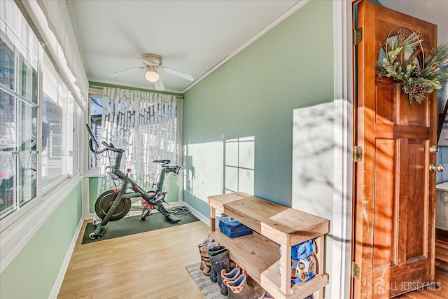 workout area with ceiling fan, hardwood / wood-style floors, and crown molding