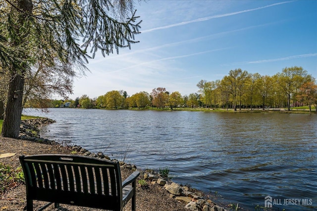 28 Evans Dr, Cranbury, NJ 08512 - water view