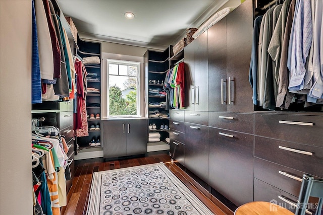 28 Evans Dr, Cranbury, NJ 08512 - walk in closet with dark wood-style floors
