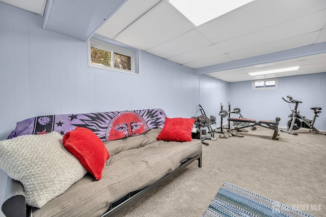 workout room featuring carpet and a drop ceiling