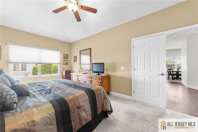 24 Birmingham Ln, Monroe, NJ 08831 - bedroom with multiple windows and ceiling fan