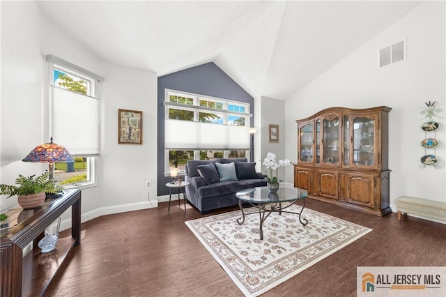24 Birmingham Ln, Monroe, NJ 08831 - living area featuring plenty of natural light, dark wood-style flooring, and high vaulted ceiling