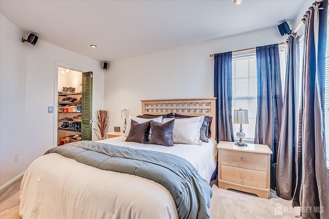 55 Renaissance Ln, New Brunswick, NJ 08901 - carpeted bedroom featuring a walk in closet, baseboards, and a closet