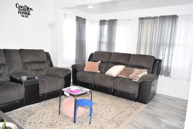 living area with wood finished floors