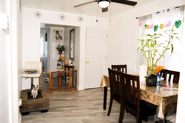 dining area with light hardwood / wood-style floors and ceiling fan