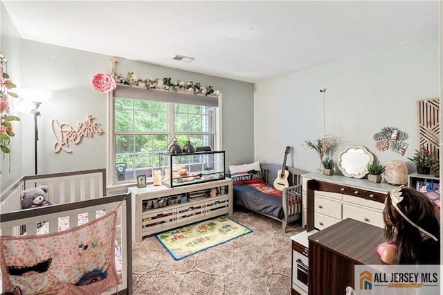 102 Raintree Ct, Helmetta, NJ 08828 - photo 19
