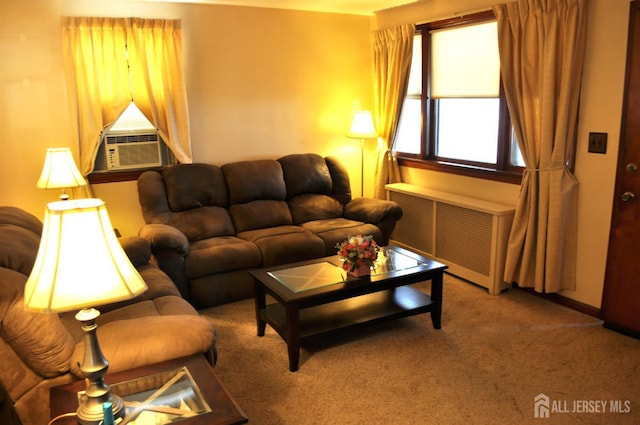 133 Howard St, Perth Amboy, NJ 08861 - photo 38