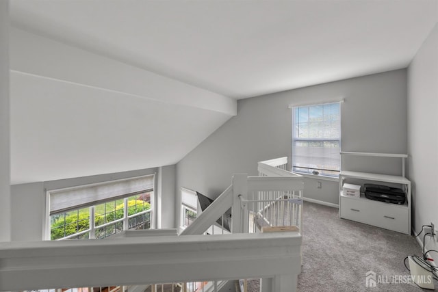 41 Haymarket Ct, East Windsor, NJ 08512 - interior space featuring carpet flooring and vaulted ceiling