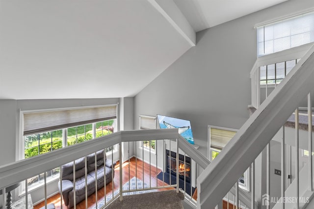 41 Haymarket Ct, East Windsor, NJ 08512 - stairs featuring plenty of natural light, lofted ceiling, a warm lit fireplace, and wood finished floors