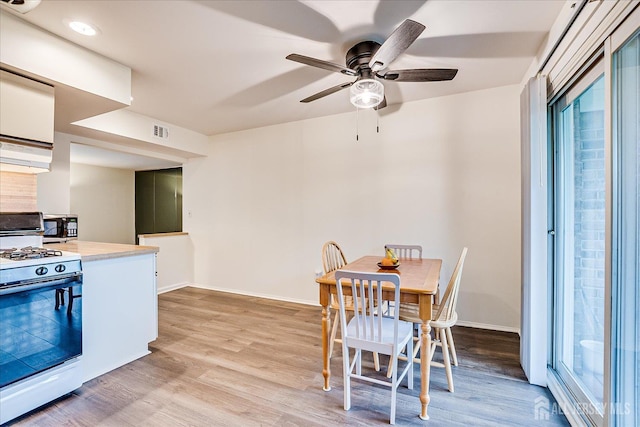 47 Judson St Unit 12B, Edison, NJ 08837 - dining area with a ceiling fan, light wood-type flooring, and baseboards