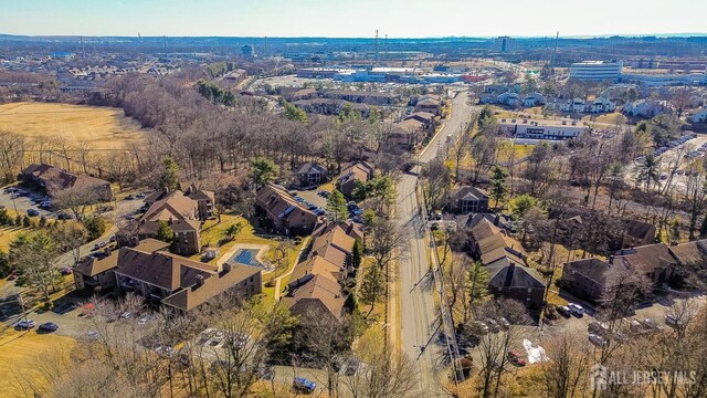 drone / aerial view