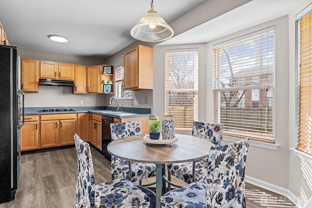 kitchen with wood finished floors, baseboards, a sink, black appliances, and under cabinet range hood