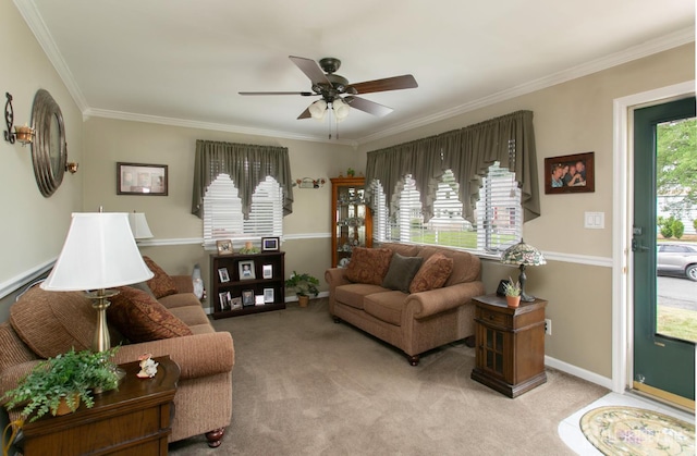81 Schuyler Dr, Edison, NJ 08817 - photo 4