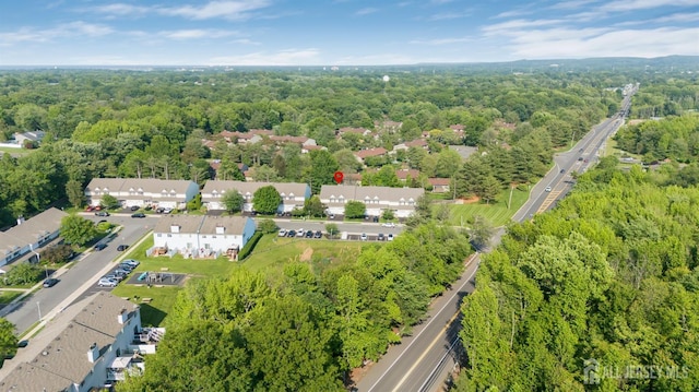 30 Forest Garden Dr, Old Bridge, NJ 07747 - aerial view of a forest