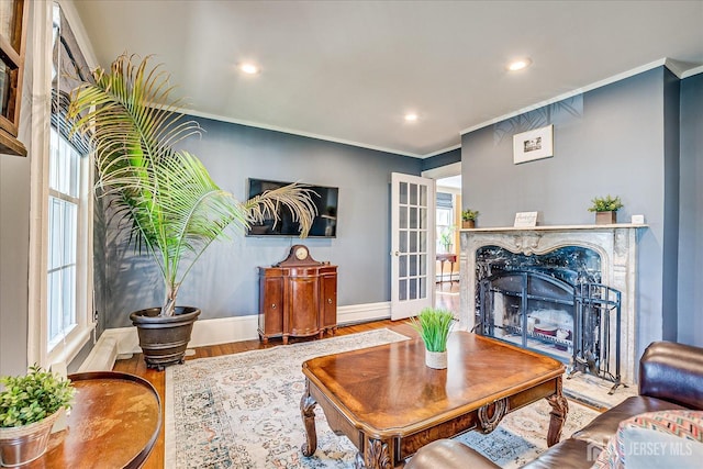 living area featuring crown molding, wood finished floors, a fireplace, and a wealth of natural light