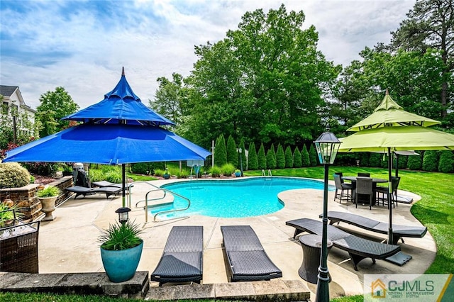 view of pool featuring a patio area