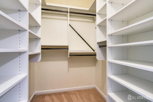 362 Aldeburgh Ave, Franklin Twsp, NJ 08873 - walk in closet with light colored carpet