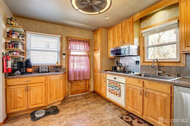 kitchen with stainless steel appliances and sink