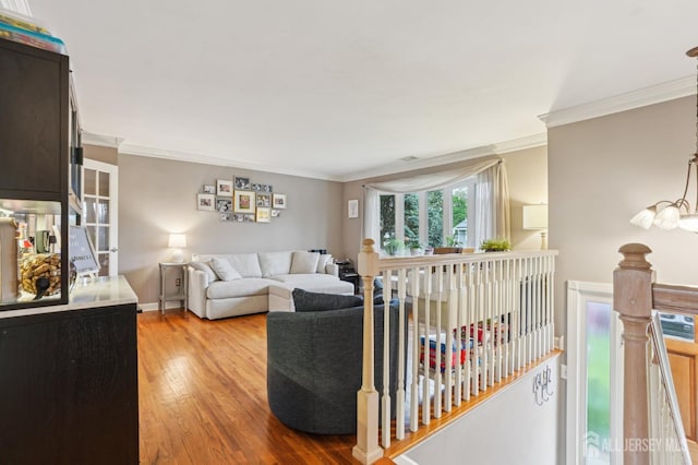 522 Hancock St, Middlesex, NJ 08846 - living area with wood finished floors and crown molding