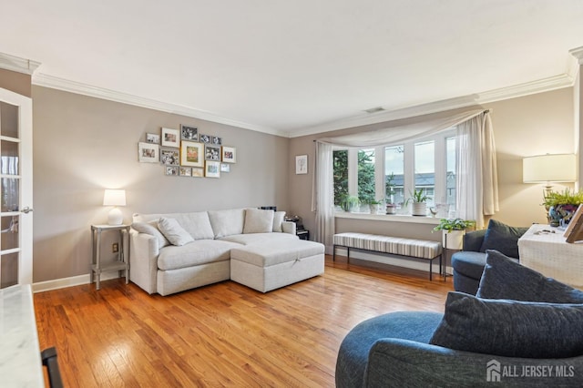 522 Hancock St, Middlesex, NJ 08846 - living area featuring light wood-style flooring, crown molding, and baseboards